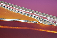 Magenta and Orange Salt Ponds, Road
